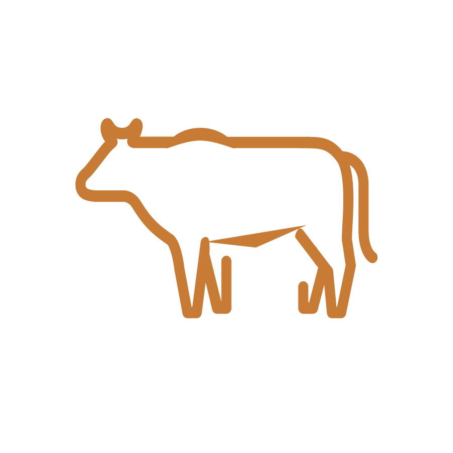 Beef cattle icon