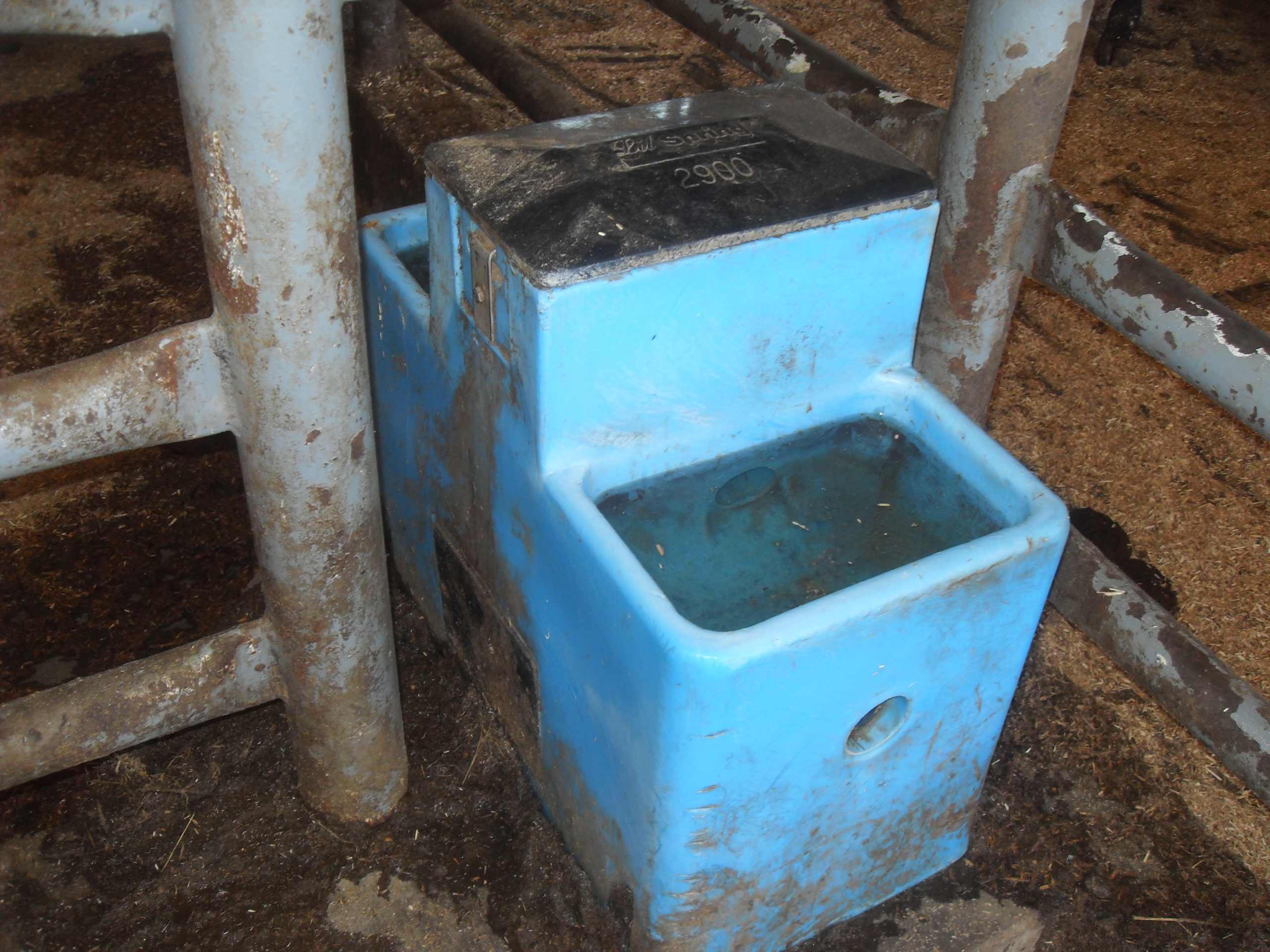 Energy-free waterer installed in barn